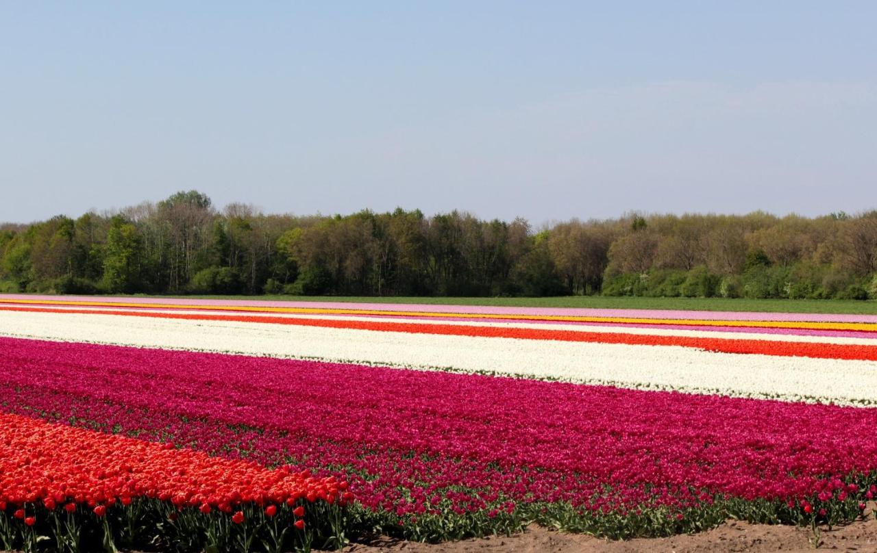 Finca Noordwijk Downtown Noordwijk 빌라 외부 사진