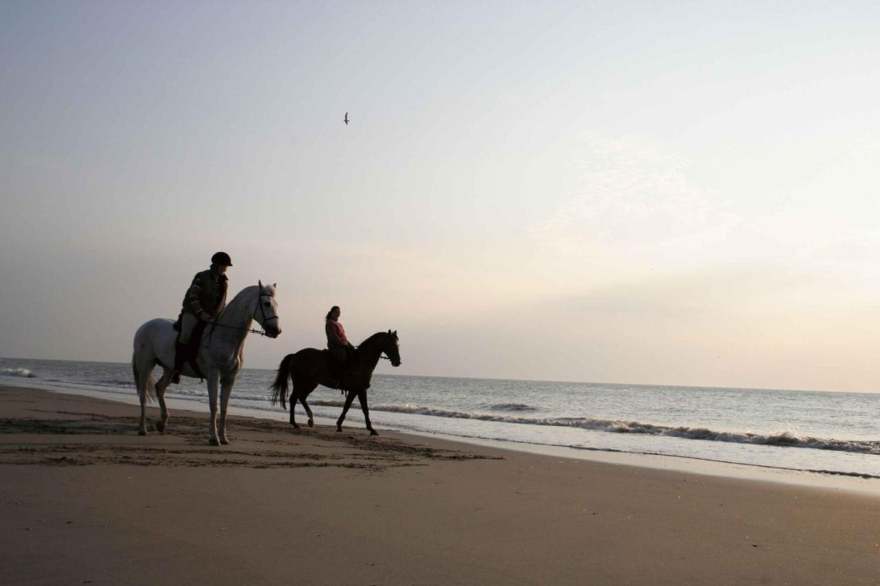 Finca Noordwijk Downtown 노르트베이크 외부 사진